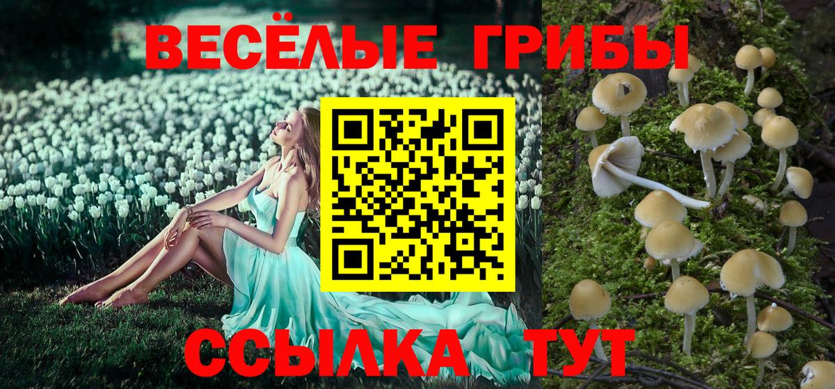 Псилоцибиновые грибы прущие грибы  Вход с VPN  как найти закладки  Орск 